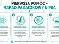 Pierwsza pomoc przy atakach padaczki u psa: rozpoznawanie, postępowanie podczas i po ataku, czego nie robić. Twoja wiedza ratuje życie.