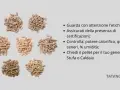 Pile di pellet di legno di diverse tonalità, per un pellet buono e di qualità. Consigli per la scelta.
