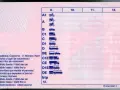 Permiso de conducción con categorías A1, A, B, C, D, BE, C1E, CE, D1E, DE, btp. Ideal para tu carnet b moto.