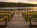 Drewniana kładka rozwidla się nad trawami, prowadząc do jeziora Ostrowite otoczonego lasem.