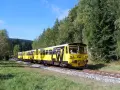 Żółty pociąg turystyczny jedzie przez malowniczy, leśny krajobraz.