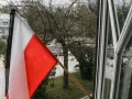 Biało-czerwona flaga na tle drzew i budynków. Czy flaga może wisieć cały rok? Pytanie o symbol dumy narodowej.