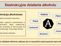 Picie alkoholu za barem? Prawo, konsekwencje, profesjonalizm