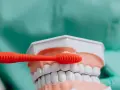 Prywatny dentysta a L4: Tak! Liczy się ZUS, nie umowa z NFZ
