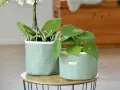 Tuto cache pot tissu : deux plantes vertes dans des contenants tressés vert pâle, sur une table basse.