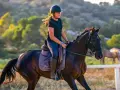 Jeune fille en casque et lunettes roses monte un cheval noir dans un ranch, le soleil couchant illumine la scène.
