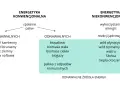 Schemat porównuje energetykę konwencjonalną (węgiel, gaz, ropa) z niekonwencjonalną, która obejmuje odnawialne źródła energii, takie jak biomasa, wiatr, słońce, ciepło geotermalne i energia wodna.