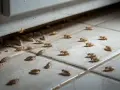 Un enjambre de cucarachas pequeñas se arrastra por el suelo de baldosas, buscando refugio bajo un mueble.