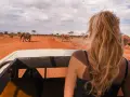 Niesamowity wyjazd na safari! Widok słoni spacerujących po czerwonej drodze z perspektywy samochodu terenowego.
