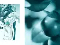 Tiffany und Co Parfum bei Müller: Finde deinen perfekten Duft