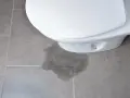 A wet patch on the floor indicates the toilet leaking at the base.