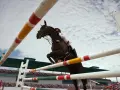 Un cheval brun et son cavalier en blanc effectuent un spectaculaire saut d'obstacles, le tout sous un ciel nuageux.