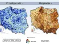 Mapy Polski pokazujące przestępczość i religijność. Analiza danych ujawnia zróżnicowanie tych wskaźników w regionach.