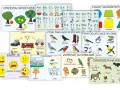 Zestaw plansz edukacyjnych dla klas 1-3: owoce, litery, figury, ptaki, emocje, pory roku, zwierzęta.