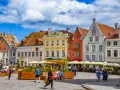 Kolorowe kamienice na placu w Tallinie, stare miasto tętni życiem. Ludzie spacerują, siedzą w kawiarniach pod żółtymi parasolami.