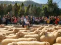 Tłum ludzi obserwuje pasterza w tradycyjnym stroju podczas szczawnickiego redyku. Owce tworzą gęste, jasne morze.