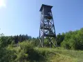 Drewniana wieża widokowa pod Jaworzem góruje nad zielonym lasem. W oddali widać mały domek.
