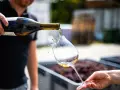 Un enologo versa vino bianco in un calice. Chissà quanto guadagna un enologo per creare queste delizie?