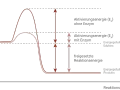 Diagramm zeigt, wie Enzyme die Aktivierungsenergie senken. Ohne Enzym ist die Aktivierungsenergie hoch, mit Enzym deutlich niedriger.