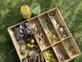 Lådor med naturmaterial för att leka med lera. Här finns kottar, kastanjer, kvistar, löv, stenar och blommor.