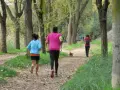 Personas corriendo por un sendero arbolado, disfrutando del senderismo en Alcalá de Henares. Un perro les acompaña.