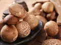 Kupa świeżych grzybów shiitake na czarnej desce, niektóre w worku jutowym.