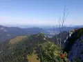 Blick von der Brander Alm über bewaldete Berge ins Tal. Ein kahler Ast und rote Beeren im Vordergrund.