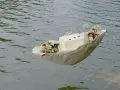 Ein Schiffchen mit Blumen und einer Schachtel schwimmt auf dem Wasser. Eine würdevolle Idee für Kinderbeerdigungen.