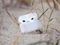Weiße AirPods im geöffneten Ladecase liegen im Sand, umgeben von Gräsern.