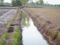 Canale di irrigazione in un campo argilloso, utile per capire come trovare acqua in un terreno argilloso.