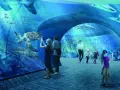 Rodzina podziwia żółwia i rekiny w oceanarium w Gdańsku, robiąc zdjęcia.