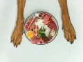 Pattes de chien encadrant une assiette de nourriture crue : viande, œuf, fromage, légumes. Avant le repas, après le repas, le chien est prêt !
