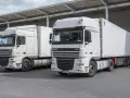 Dwa białe ciągniki siodłowe DAF XF, gotowe do trasy. Posiadanie prawa jazdy kat C+E otwiera drogę do takich pojazdów.