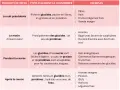 Tableau sur l'alimentation course à pied : conseils pour avant, pendant et après l'effort.