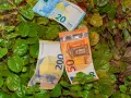 Billetes de euros (20, 50 y 200) entre las hojas de una planta del dinero interior o exterior.