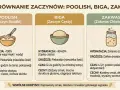 Porównanie zaczynów: poolish, biga, zakwas. Dowiedz się, jakie drożdże do chleba wybrać, by uzyskać najlepszy smak i teksturę wypieku.