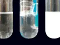 Drei Reagenzgläser zeigen eine klare Flüssigkeit, sprudelnde Flüssigkeit und eine milchige Flüssigkeit. Dies ist eine kalkwasserprobe.