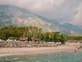 Plaża w Turcji z leżakami, palmami i górami w tle.