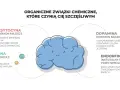 Dopamina sprawia, że czujemy nagrodę. Obrazek przedstawia mózg i hormony szczęścia: oksytocynę, serotoninę, dopaminę i endorfiny.