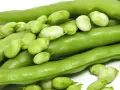 Fasola szparagowa i zielone ziarna fasoli, bogate w błonnik nierozpuszczalny produkty, tworzą apetyczny stos.