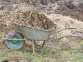 Jak skutecznie stosować nawóz koński - uniknij błędów w ogrodzie