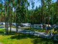 Rodzina spaceruje po zagłębionym polu namiotowym wśród sosen. Widać kampery i namioty.