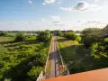 Ścieżka rowerowa prowadzi do mostu nad Odrą. Zielone łąki i drzewa otaczają rzekę.