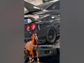 Ile koni mechanicznych ma Lamborghini? Zaskakujące różnice między modelami