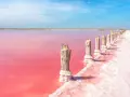 Alicante różowe jezioro, z drewnianymi słupkami porośniętymi solą, tworzy surrealistyczny krajobraz pod błękitnym niebem.