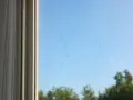 Macchie sul vetro, forse cause di vedere sfocato. Si intravedono alberi e cielo azzurro.