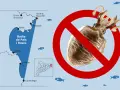 Prohibida la pesca de la sepia en la Badia de Pals i Roses. Mapa de la costa catalana con señal de prohibido sobre una sepia.