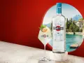 Jak pić Martini Bianco? Proste drinki, które zrobisz w 2 minuty