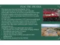 Plac św. Piotra w Watykanie, zaprojektowany przez Berniniego, to serce państwa Watykańskiego, gdzie odbywają się ważne wydarzenia.
