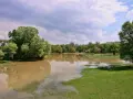 Jak sprawdzić tereny zalewowe i uniknąć ryzyka zalania działki